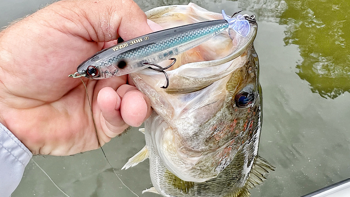 Yo-Zuri 3DB Prop Bait R1107-PF - Esca Superficie Topwater A Elica, 5/8 Oz, Colore Rana, Per Pesca Bass