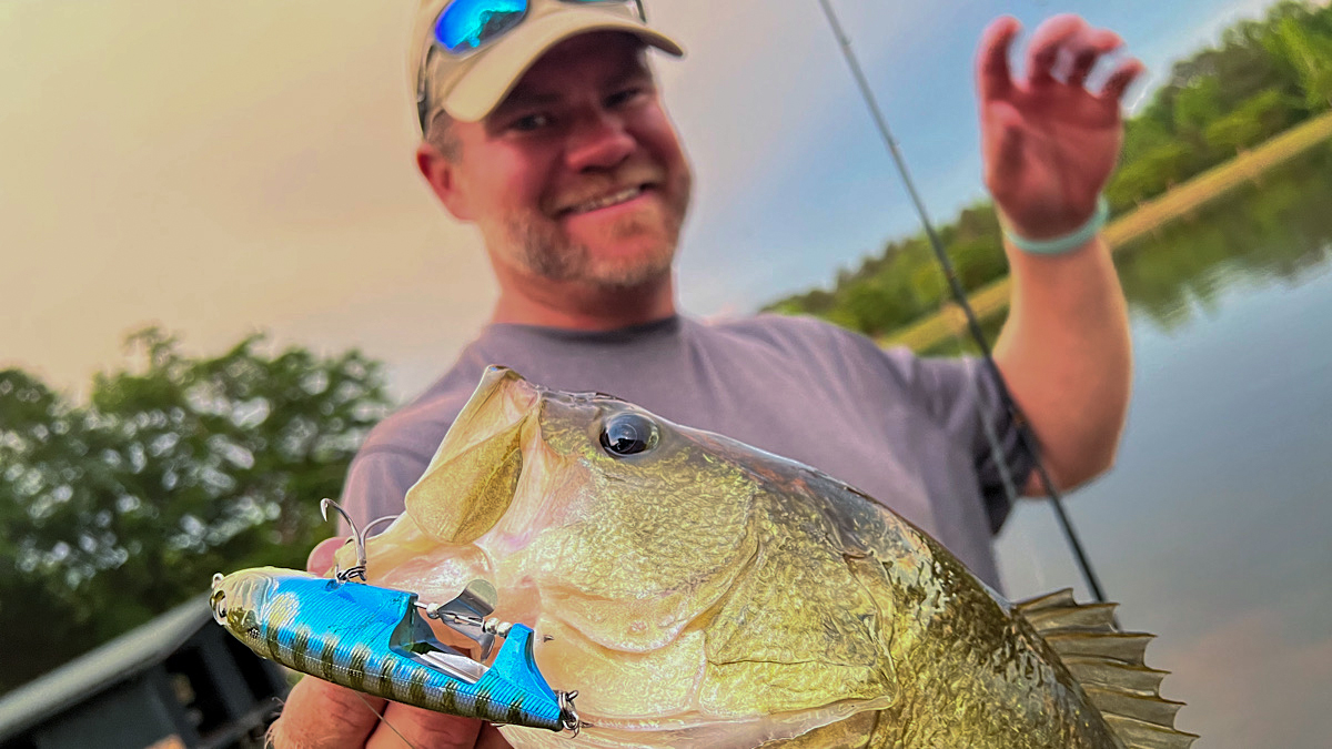 bass eats topwater bass fishing lure