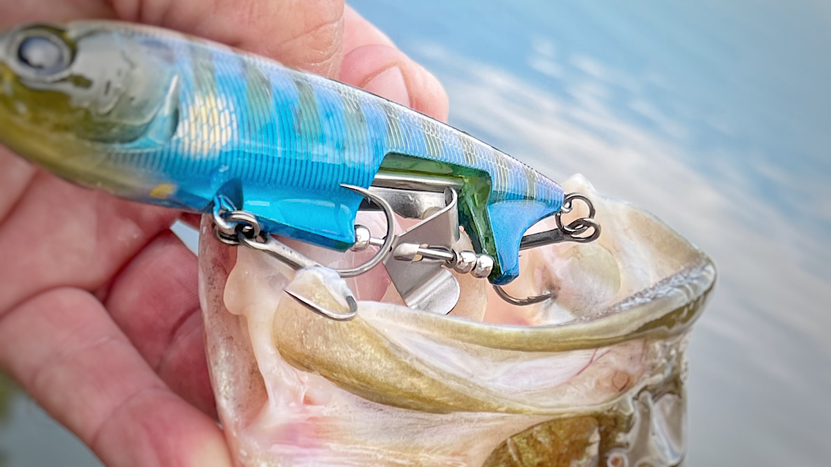 topwater bass fishing lure in bass mouth