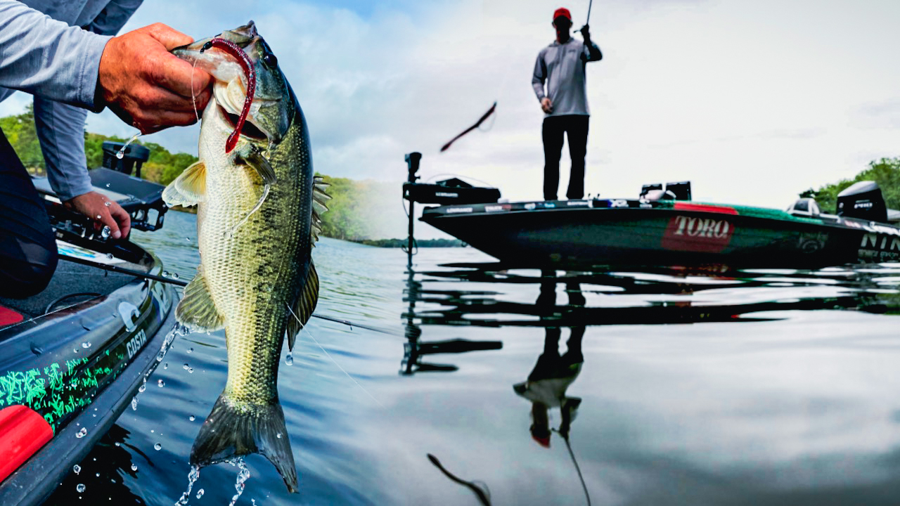 How to Fish Texas Rig Worms for Bass - Wired2Fish