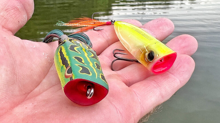 How to Choose between a Topwater Popper and Popping Frog
