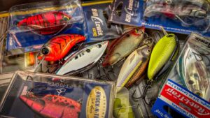 GSM Outdoors Acquires Bill Lewis Fishing Brand