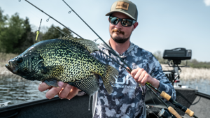 Sight Fishing Big Crappies with Jerkbaits and Jigs