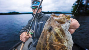 Finesse Hair Jig Smallmouth Bass | Best Rod Setup