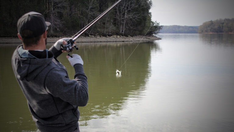 How to Dissect Different Post-Spawn Bass Fishing Phases