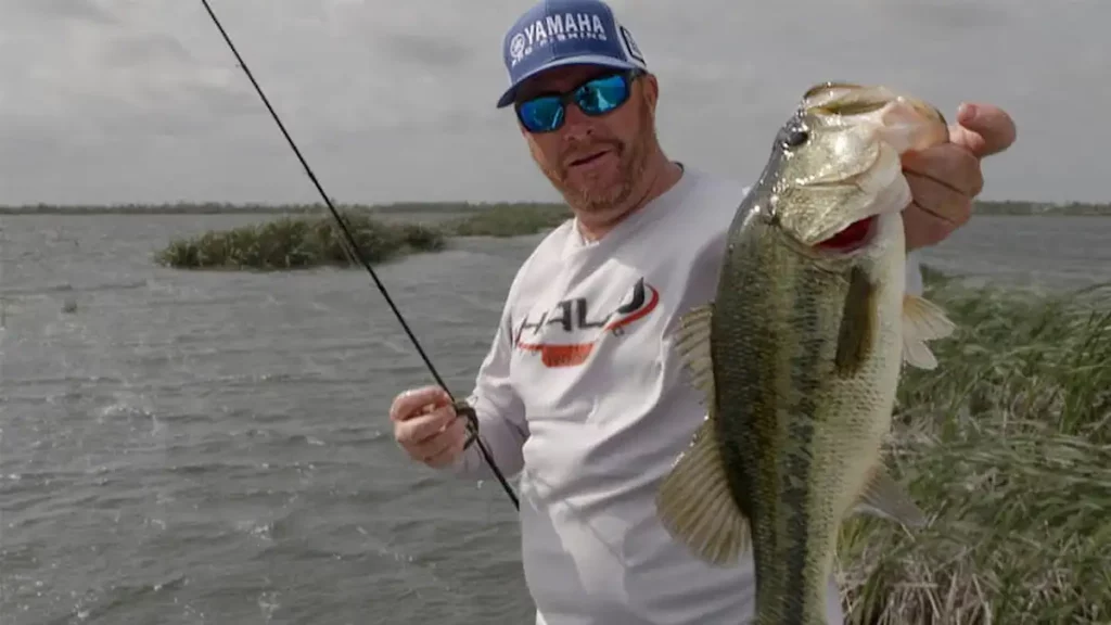 Fishing Swing Heads for Bass in Shallow Grass - Wired2Fish