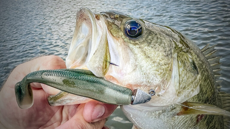 Eagle Claw Lazer Sharp Swimbait Head Review