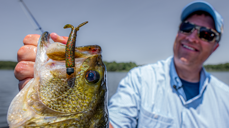 7 Proven Ned Rig Jig and Plastic Setups