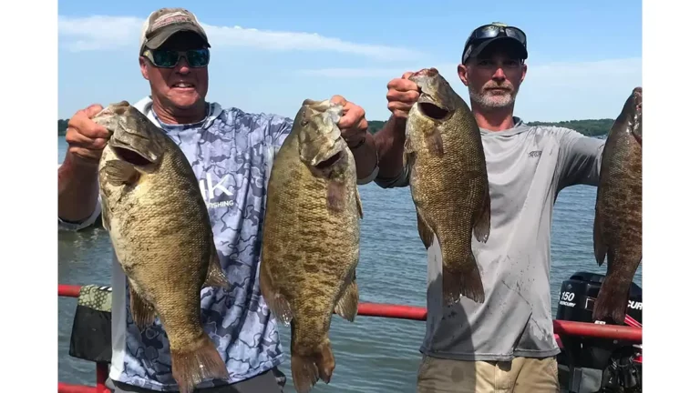 Angler Catches Record Smallmouth Bass in NY
