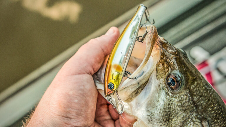 Why You Need to Fish a Jerkbait This Summer