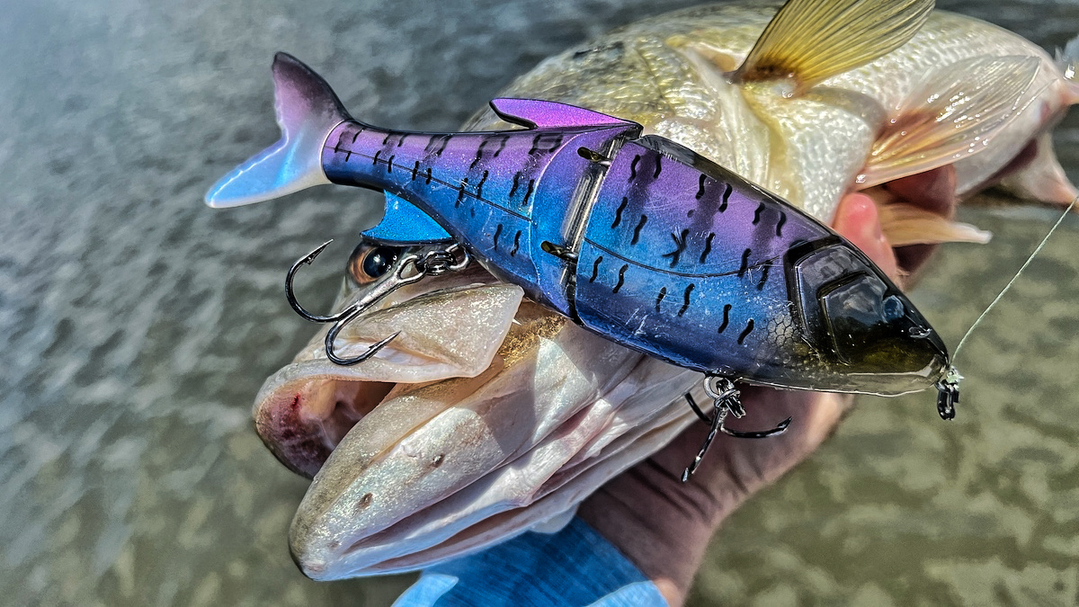 bass eats glide bait