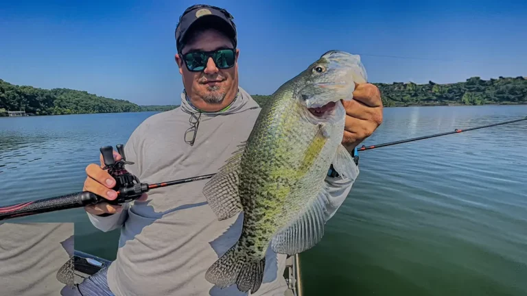 Crappie Fishing with Bait Finesse System (BFS)