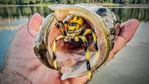 3 Wild-Looking Bass Fishing Baits That Catch Big Bass