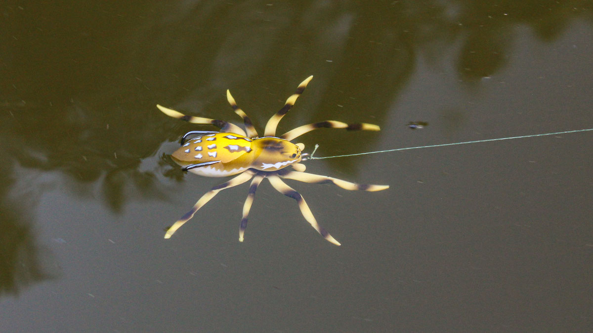 spider bass fishing lure