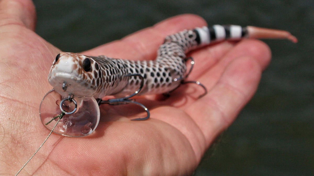 snake bass fishing bait