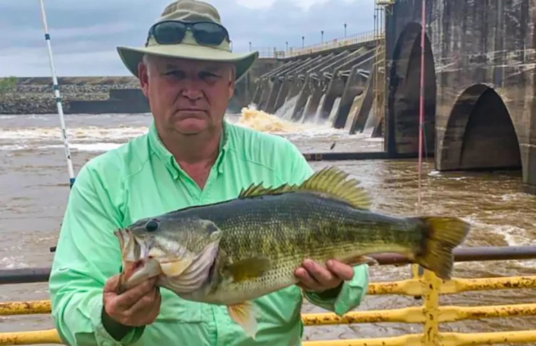 Angler Ties Georgia State Record Shoal Bass
