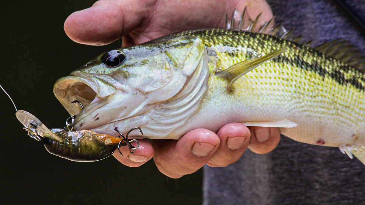 Never Forget the Simplicity of Fishing - Wired2Fish