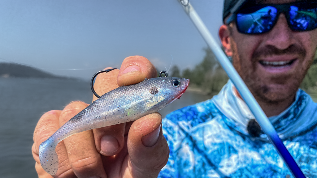 Overlooked Shad-Imitating Swimbait for Tough Bass - Wired2Fish