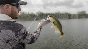 Jacob Wheeler’s Swimbait Setup for Grassline Bass