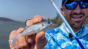 Overlooked Shad-Imitating Swimbait for Tough Bass