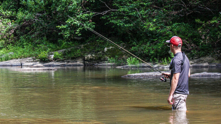The Complete Guide to Wade Fishing Creeks