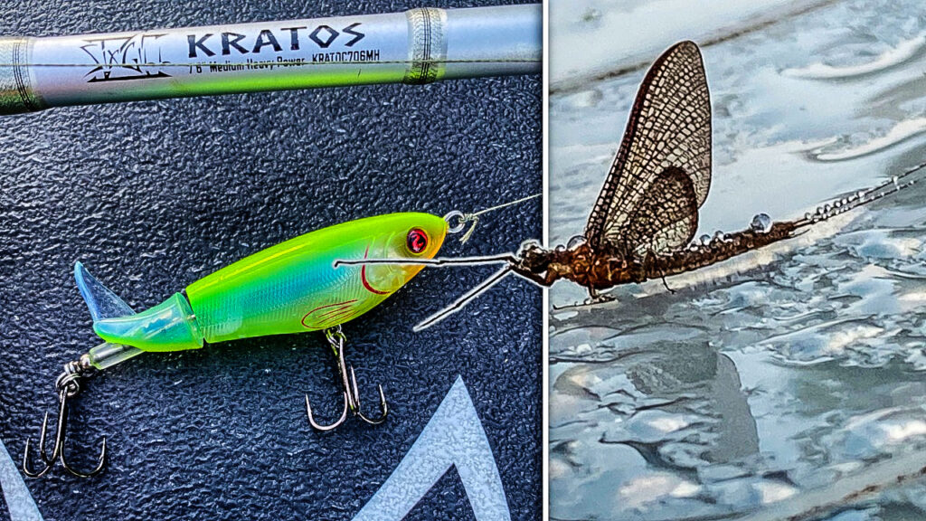 If you love the whopper plopper, you'll love the mini-whopper. The mini- whopper is a smaller version of the popular topwater lure that