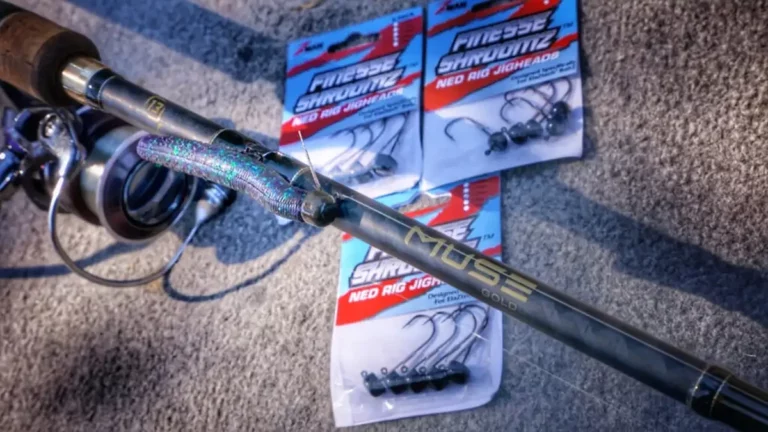 Ned Rigs: The Complete Guide to Ned Rig Fishing