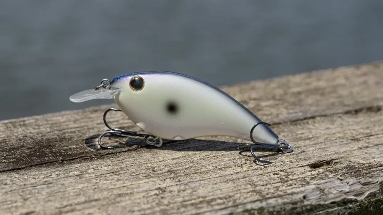 Best Flat-Sided Crankbaits for Bass