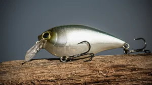 Hardcore Crankbait SR 65 Review