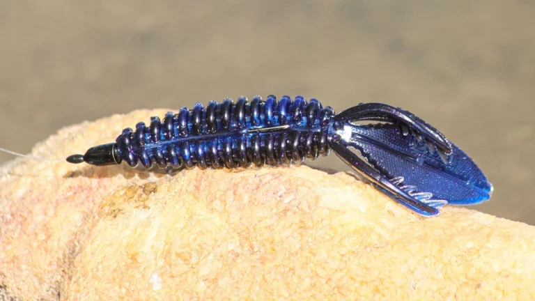 Netbait B Bug Creature Bait Review