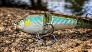 Berkley Magic Swimmer Swimbait Review