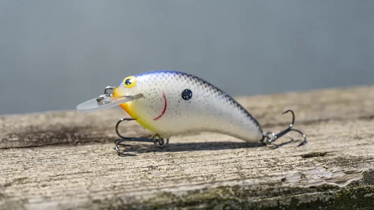 Best Flat-Sided Crankbaits for Bass