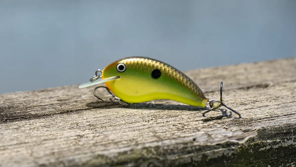 How and When to Target Bass With Hunting Squarebill Crankbaits