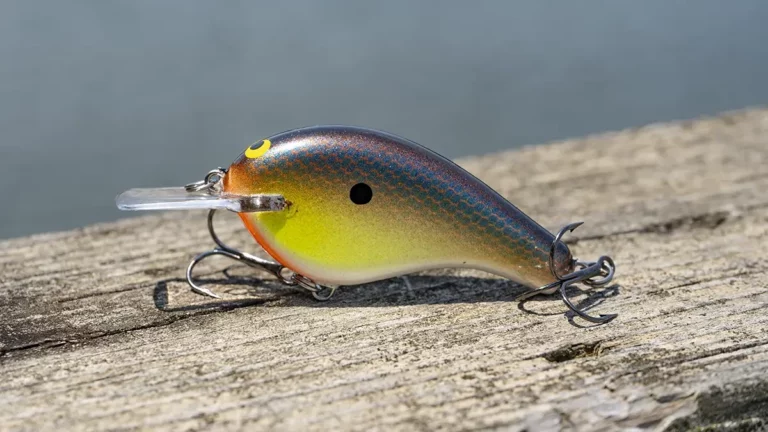 Best Flat-Sided Crankbaits for Bass