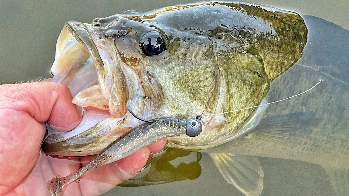 A Look at Jigheads and How They Differ - Wired2Fish