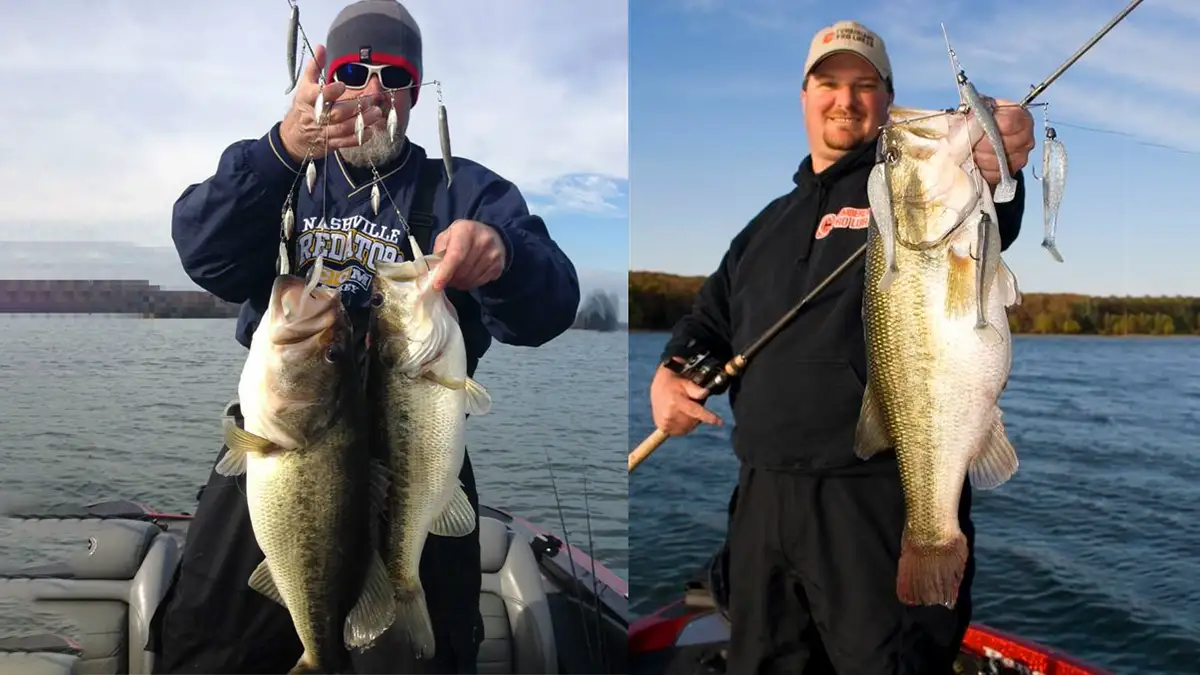 Alabama Rig big bass catches