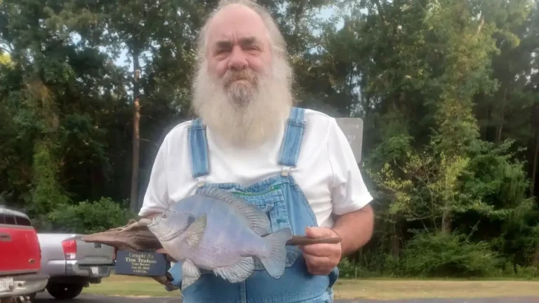 Angler Catches Louisiana State Record Bluegill