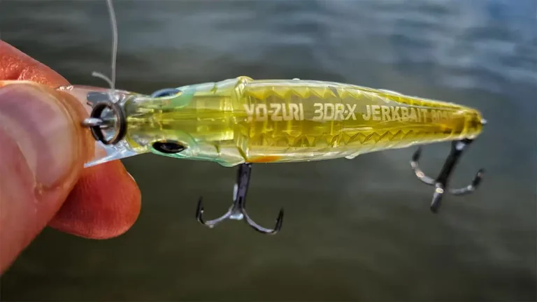 Yo-Zuri 3DR-X Series Jerkbait Review