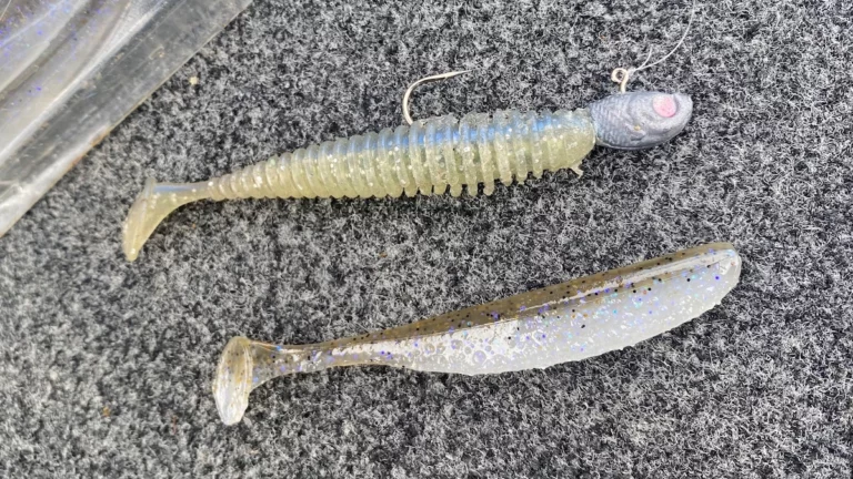 3 Must-Have Baits for Forward-Facing Sonar