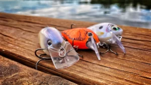 Key Traits of a Quality Squarebill Crankbait