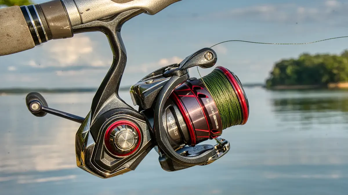Shop Reel Fishing 5000series Super Heavy with great discounts and prices  online - Feb 2024