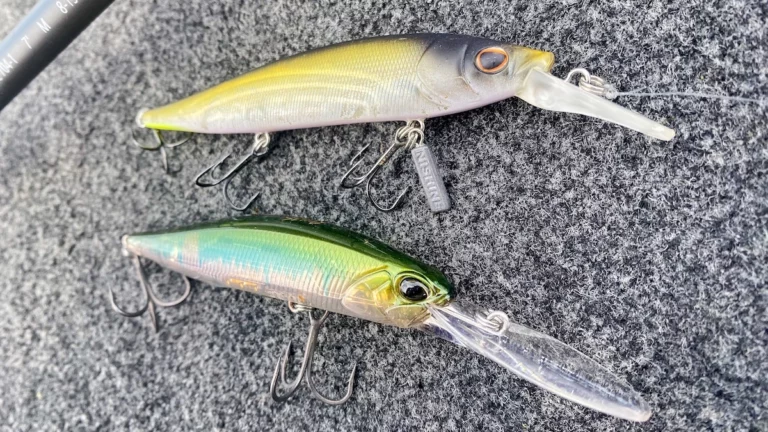 3 Must-Have Baits for Forward-Facing Sonar