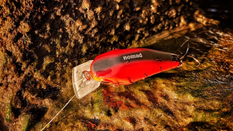 Nomad Design Atlas Squarebill Crankbait Review