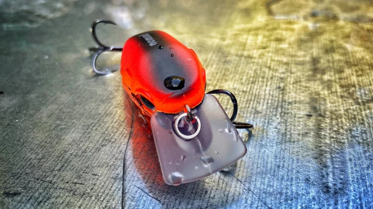 Nomad Design Atlas Squarebill Crankbait Review