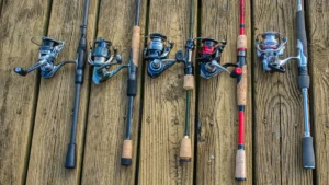 Best Spinning Reels for 2024