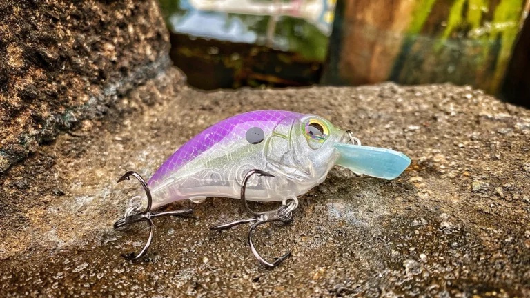 What Baits We’re Throwing in September 2022