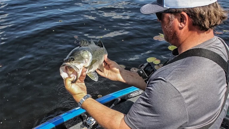When and Why to Use Certain Hooksets for Bass Fishing
