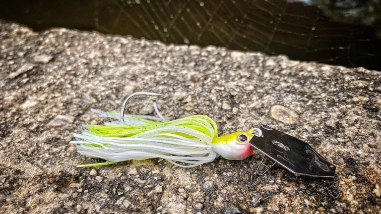 What Baits We’re Throwing in September 2022