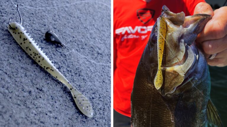 How to Sight Fish Smallmouth Bass on the Great Lakes