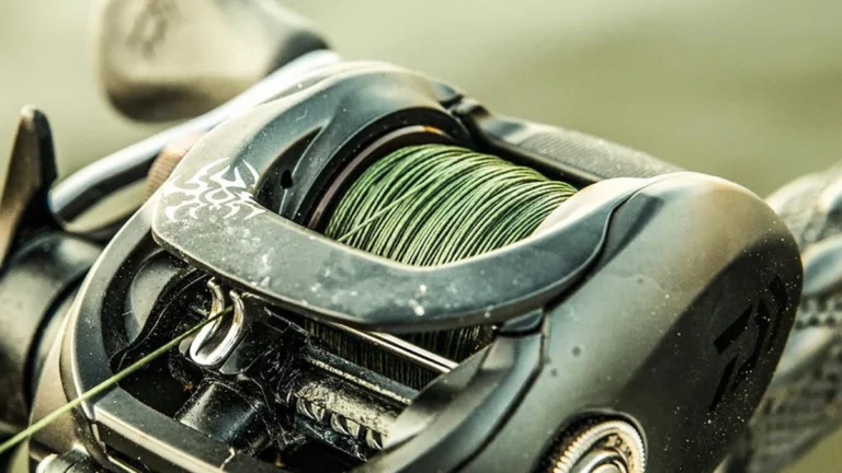 Best Braided Fishing Lines for 2023